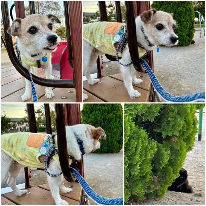 52064be7 da63 44a5 a47f 94e3d913db83 1696283160960