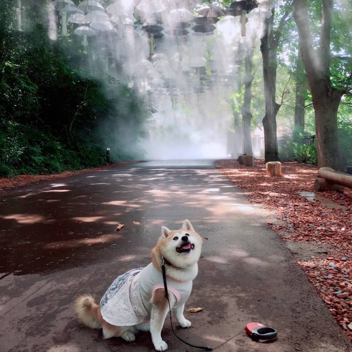 52065186 223b 457b a805 b8babeed5374 1598494861931