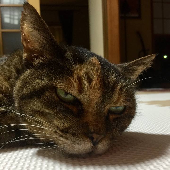 52066021 6057 4e4f 81c9 2d05383d5fe0 1595072115506