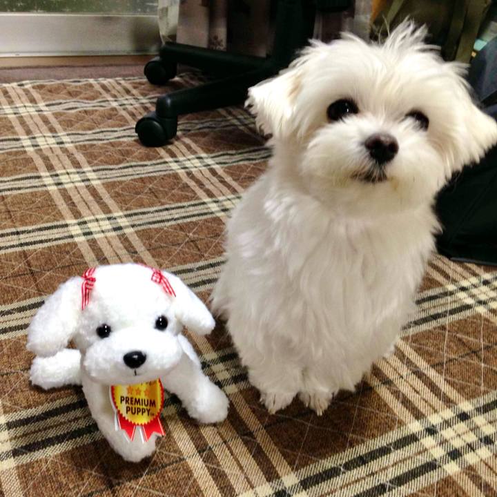 52069b24 515e 4598 87eb 0398a51abe2d 1770956518012