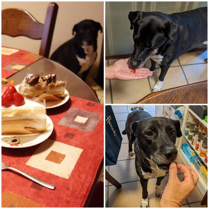 5206aa56 5505 4125 8e8e 5c2c6ee456ad 1665571521804