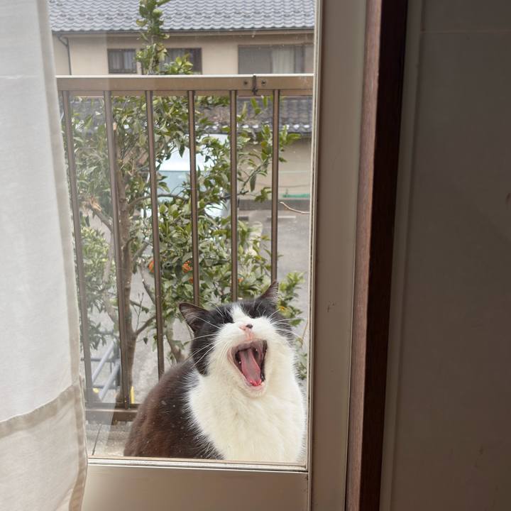 5206dbb1 61ec 48da 89b6 5b5f8b104bea 1770701493548