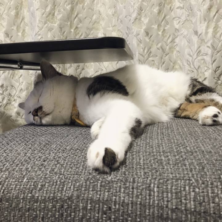 5206f061 6244 4527 96f7 62c81e488c18 1567050913947