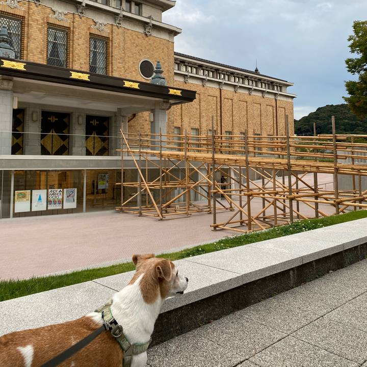 520719df 6997 4578 a2b8 e2c669061643 1664445984188