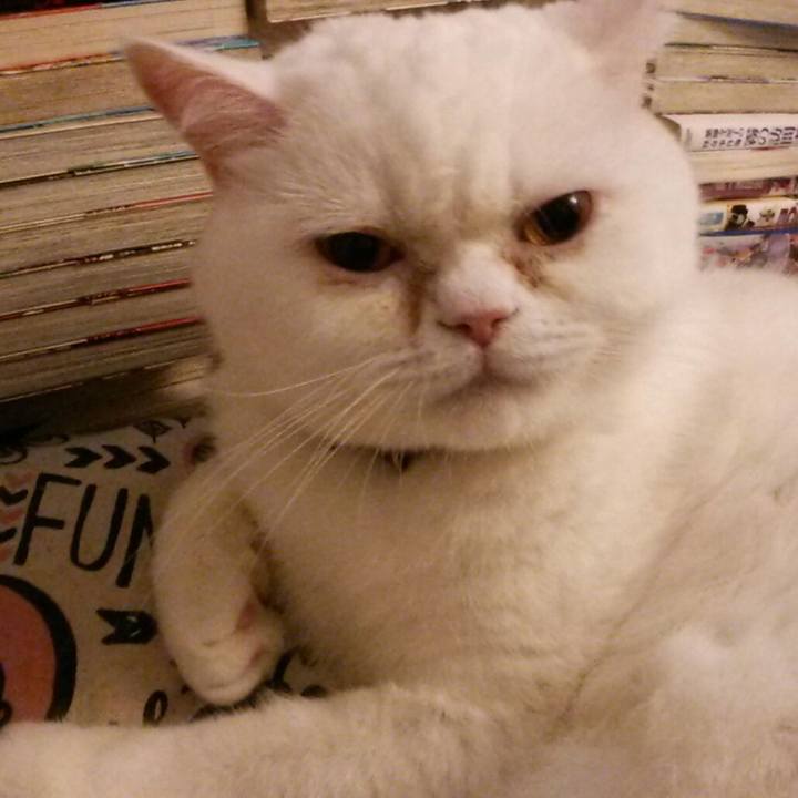 5207241a 5da4 441d a0c3 dd0800916a75 1522579029779