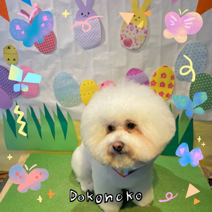 52075cfa 6d27 4d88 8ae2 96d831bff23f 1711339325881