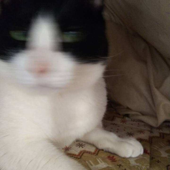 5207ea4b cbe0 4605 825e 619462e9d37e 1553763881748