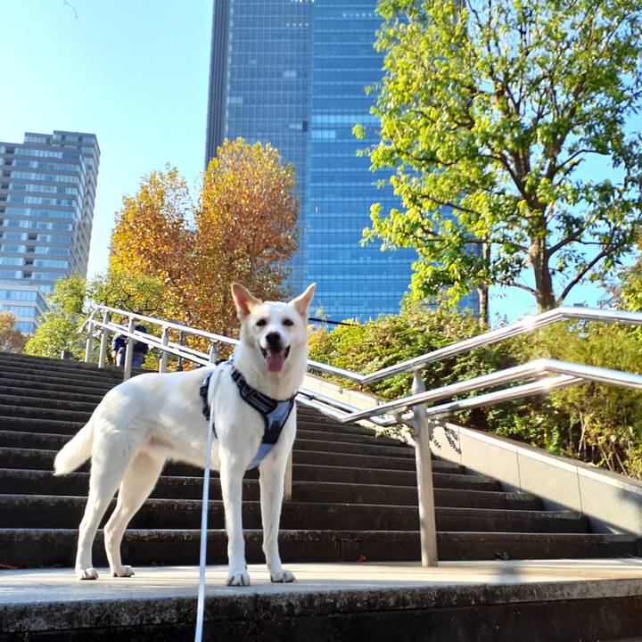 5208061e 2ccd 4cdd 8f81 f4f174feda2a 1637383825510