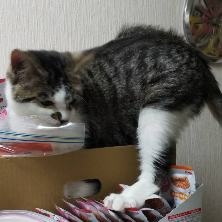 520837b3 4d02 432a 9595 dd3411d66a1d 1614347791424