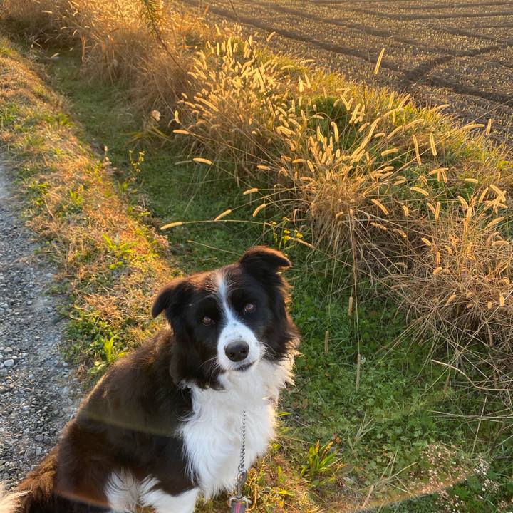 52089a11 0e6b 424d 9976 6786b43840b9 1607643484489