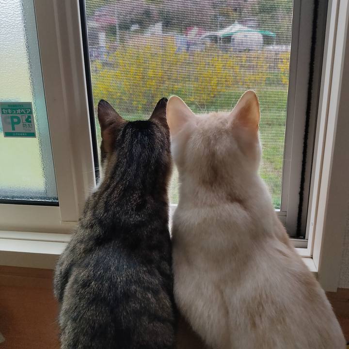 52089d94 cc40 4cac b0c8 59e44d97a569 1649889479046