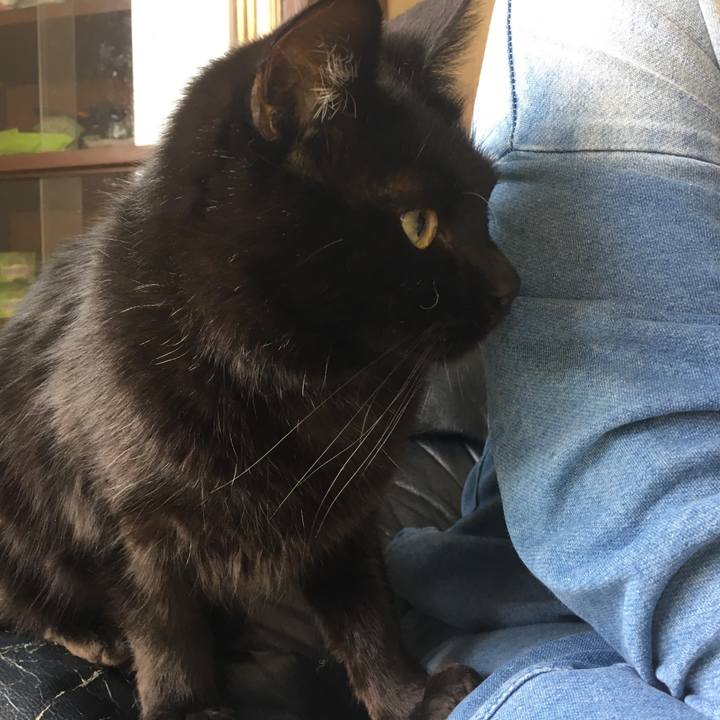 5208d21c 2052 4378 a148 6cd1469e8bb1 1541895604469