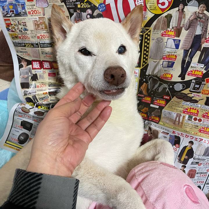 5208d6da b501 4632 a5e4 65229c02d6d6 1668664909483