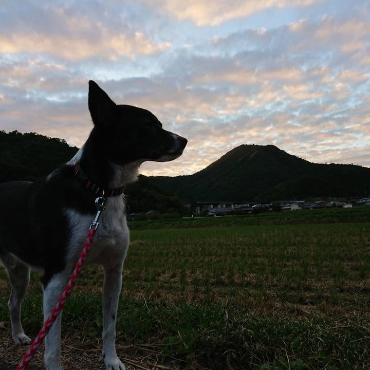 5208dc49 7fc5 4336 a80b 4bf05c7ecd8f 1569234003989