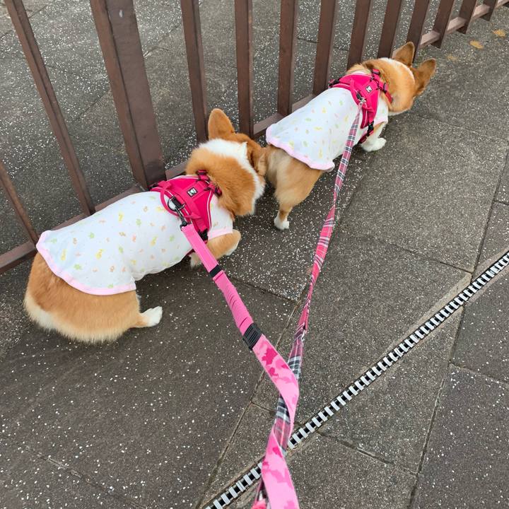 520903cf fa36 435c 8dfd 88dedf5a5204 1609222399016