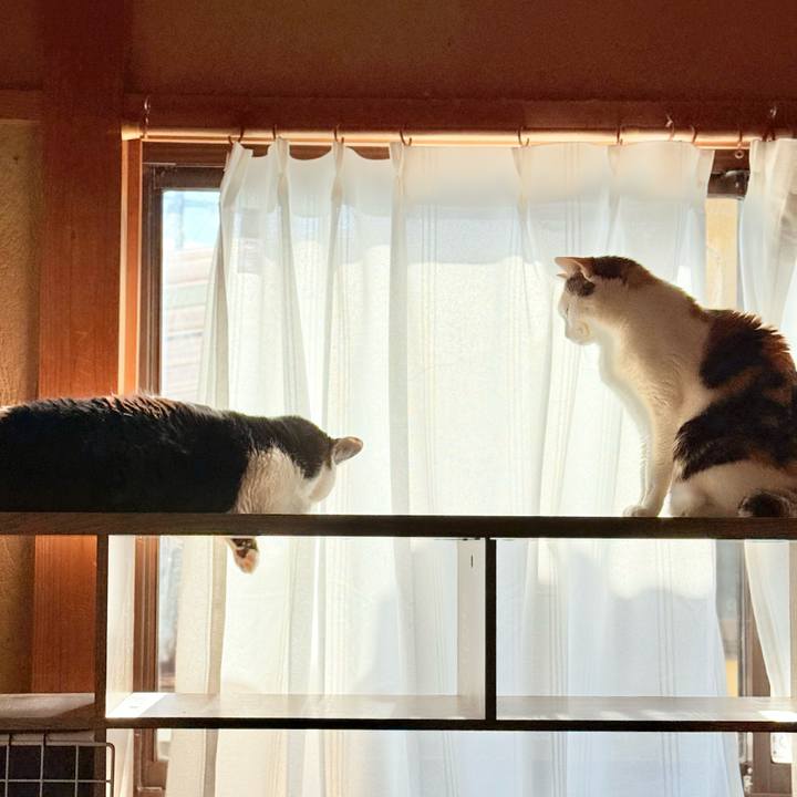 5209603e ff4e 40b9 838b bb015756ec0b 1739500989482