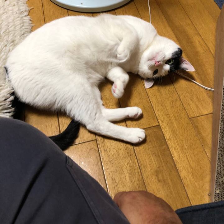 5209c18f b4a1 4077 a886 cf67dca593a8 1558268840570