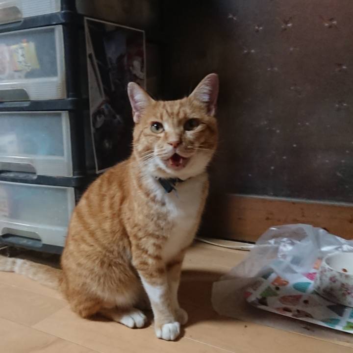 5209db53 d225 4ce3 8d10 d9eae3cccc7e 1603703230221