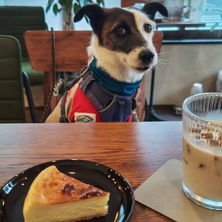 5209fc8c dba6 41b0 9a3d b6c4bc6f74f7 1747476600068