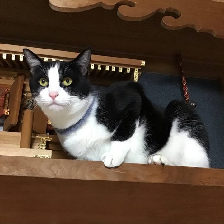 520a40f1 752e 41f9 b565 fb282c9b9640 1671099480152