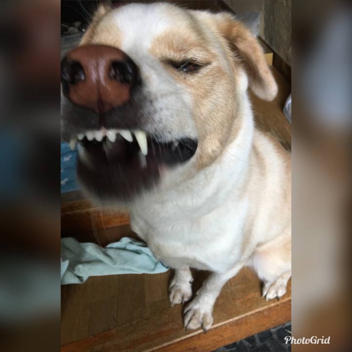 520a8abd bedf 4053 9bf5 37f67ff2a4b0 1528117319321