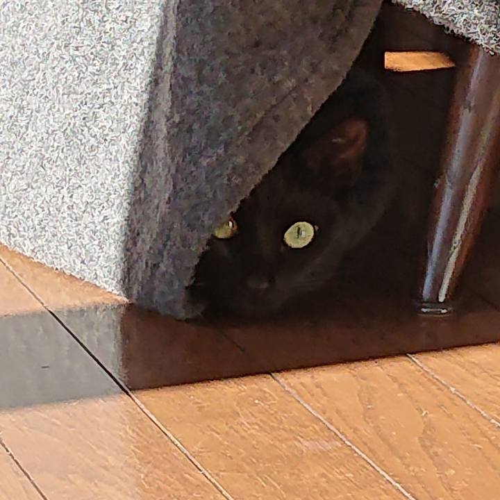 520a8d9a ce9f 4ffd 9eae 9d683ac5ddac 1547887400574