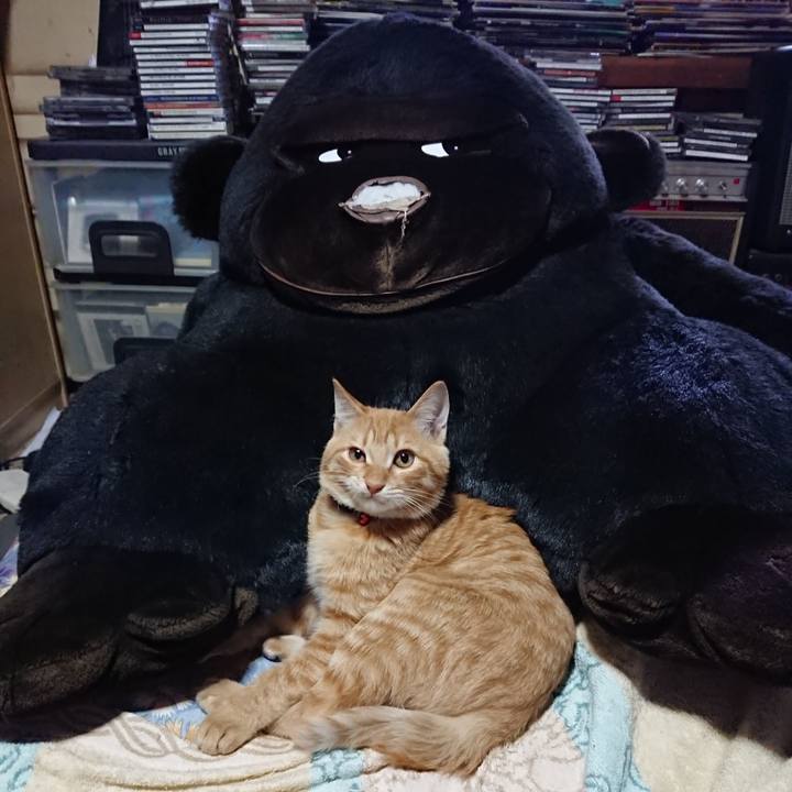 520ad616 6d9e 4bed abda abdd66d44acb 1635132290447