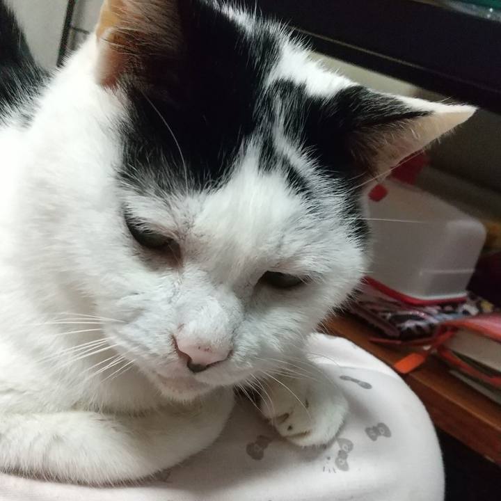 520b15d0 9342 482c 99e9 81d4a944e362 1746856093679