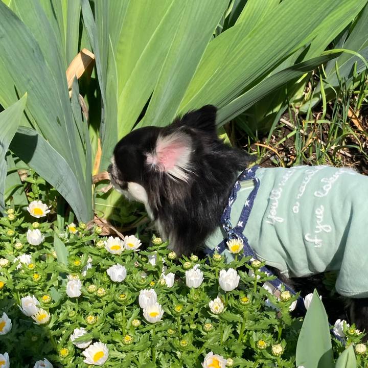 520b38c2 4df4 4fdf ac83 2ac40a589ade 1648909119623