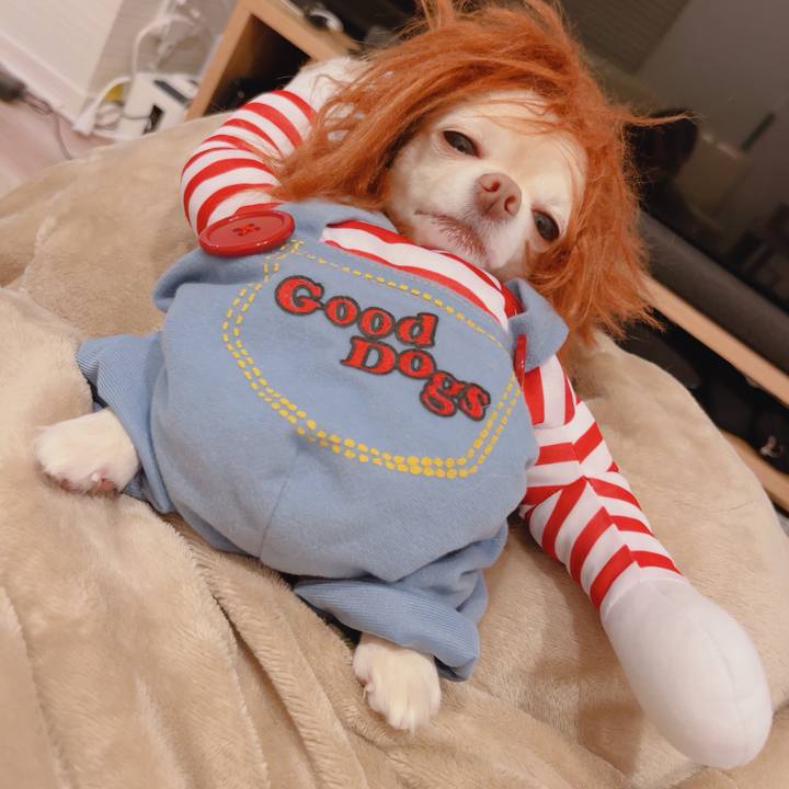 520b49ad 4a14 4651 b58b 23d48890a487 1761909531782