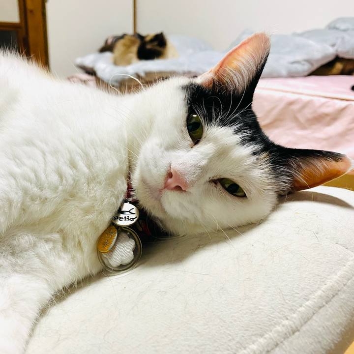 520b97f6 c705 44cc ac8d 3bd1b49b4c70 1749915243913