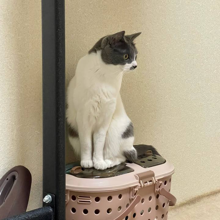 520bafcf dd17 4ed6 818c d0d1b440150e 1678190568903