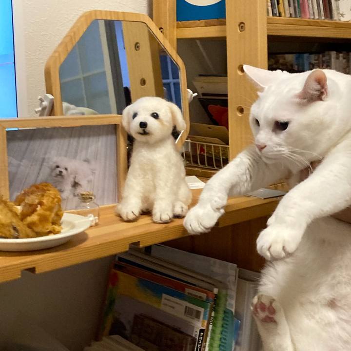 520bf304 01b6 4681 a27f b2433964db0f 1698413350168