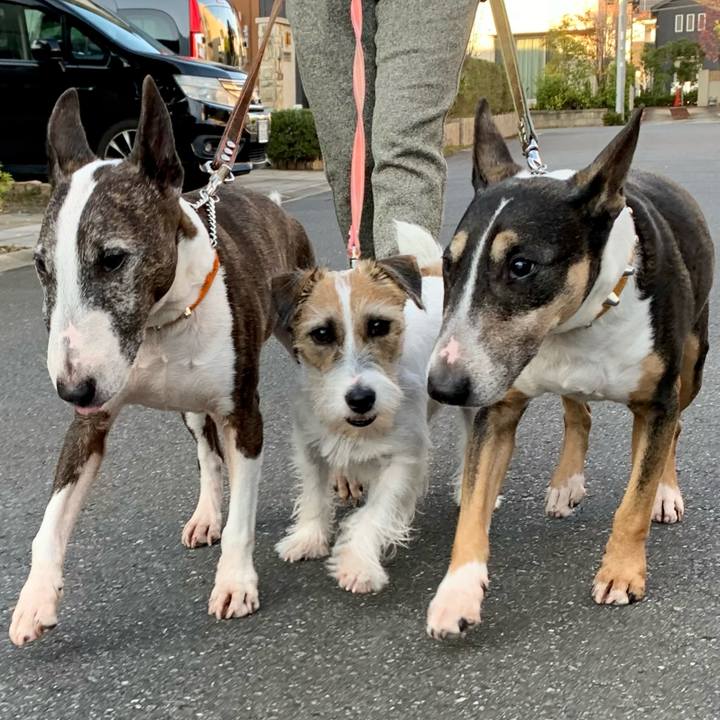 520c3380 9de4 47aa a1c6 1178f2368e20 1605601492667