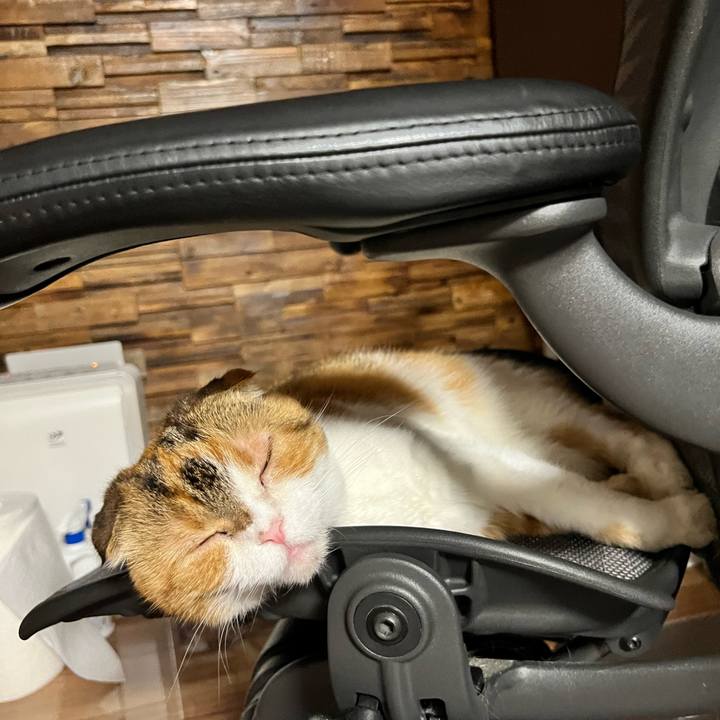 520c53a1 5345 4d4a b7cc dc6068a346e0 1758456847673