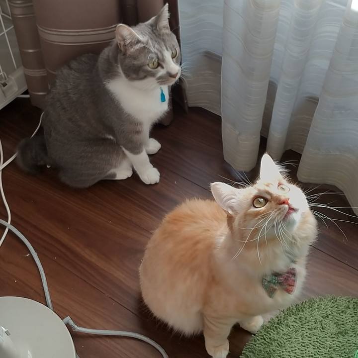 520c59e9 7086 4c61 995c 39428509cb6a 1641098587424