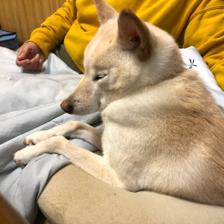 520c5c75 3a25 440d a21b 8d053e0b5a9c 1575530048785