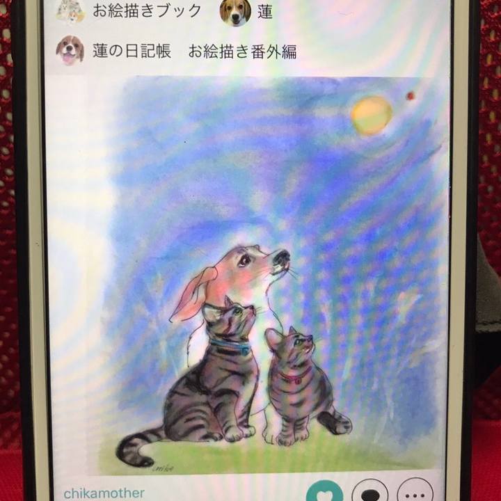 520c73af 3101 4894 9967 70c179c82efb 1602166499512