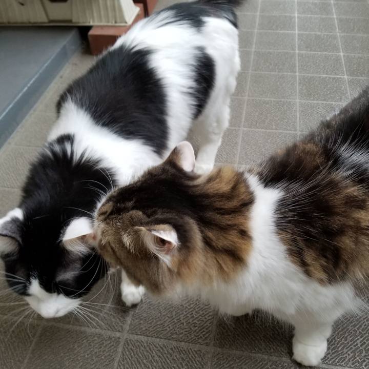 520c767a 6db4 4c6c a00d 2977f2f829ea 1538705741320