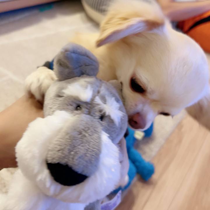 520cbd0c 8002 4c27 aa53 ef006547d2d4 1696859296536