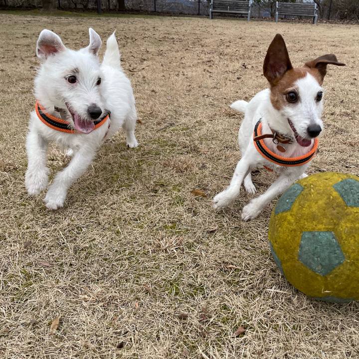 520cec62 c758 4946 a3c4 2e1f38e77790 1772761510847