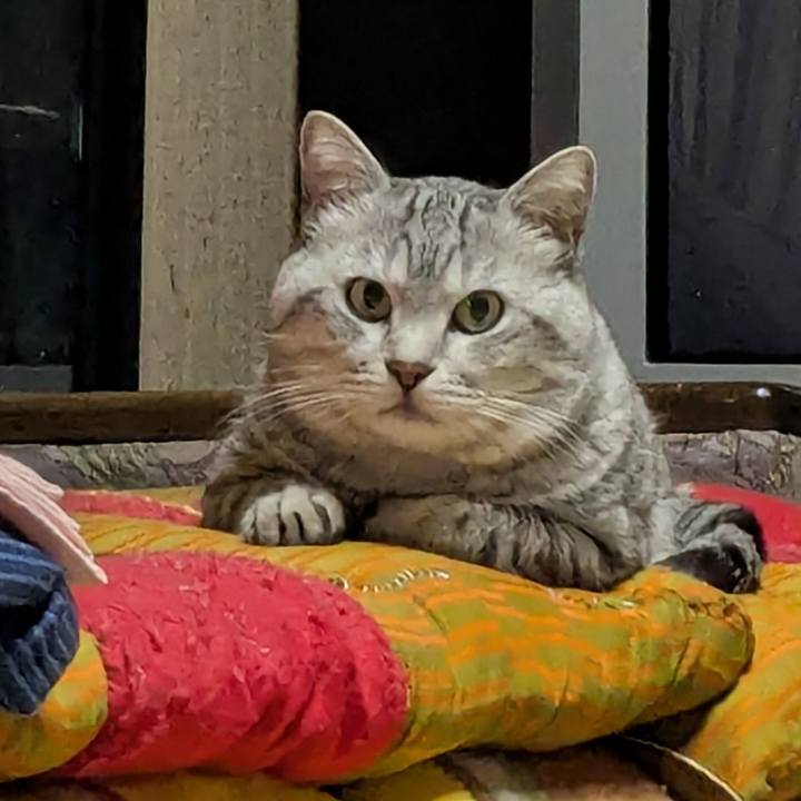 520dadf4 be4d 439f bacd 6efd09634183 1743257549643