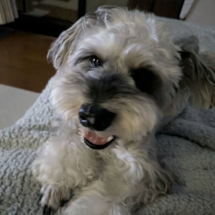 520daf97 32bb 4ba6 be78 b4b9764bfc68 1757423001582