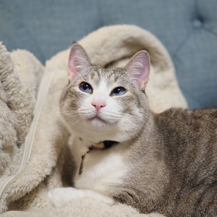 520dc2d4 128b 4f9f 99fb a4578871ba0c 1652100480855