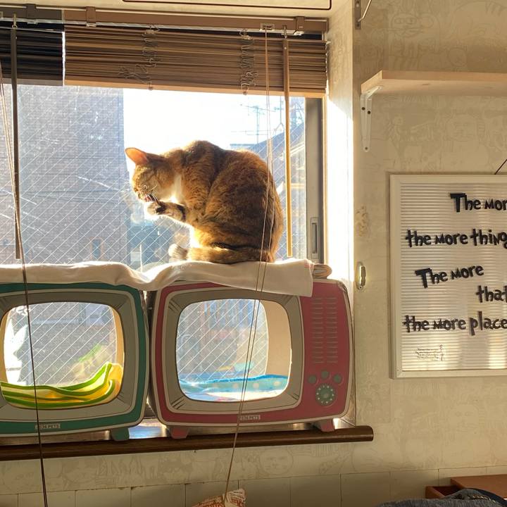 520dc72a 1ef1 4973 b890 75b67bfede10 1640994631662