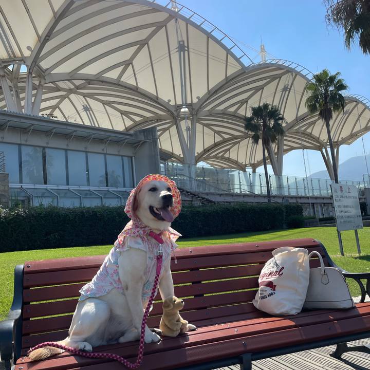 520dce74 ee96 4deb 9ae9 efd607650c32 1633752633073