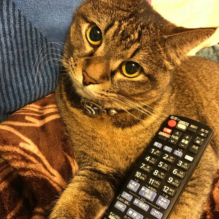 520dcf12 1f05 48b3 b035 c122c3fb5f79 1508847449993