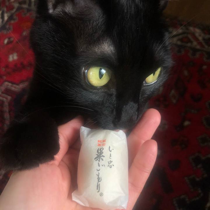 520dd293 36ed 46a6 82bd a8b95e34cdf1 1637541452959