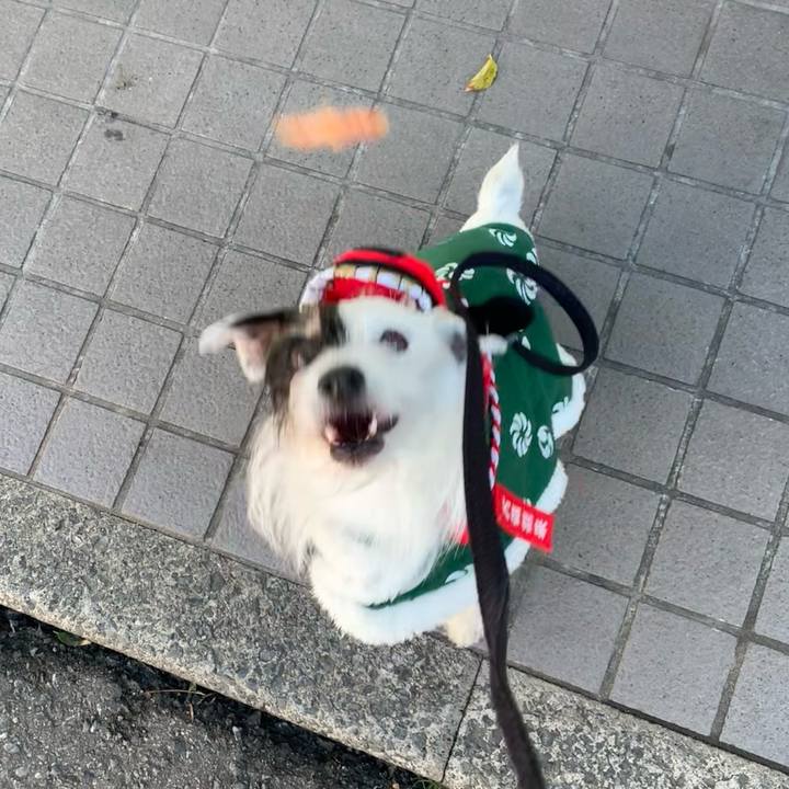 520dd937 119a 494c 9906 416b2308a935 1704074675538