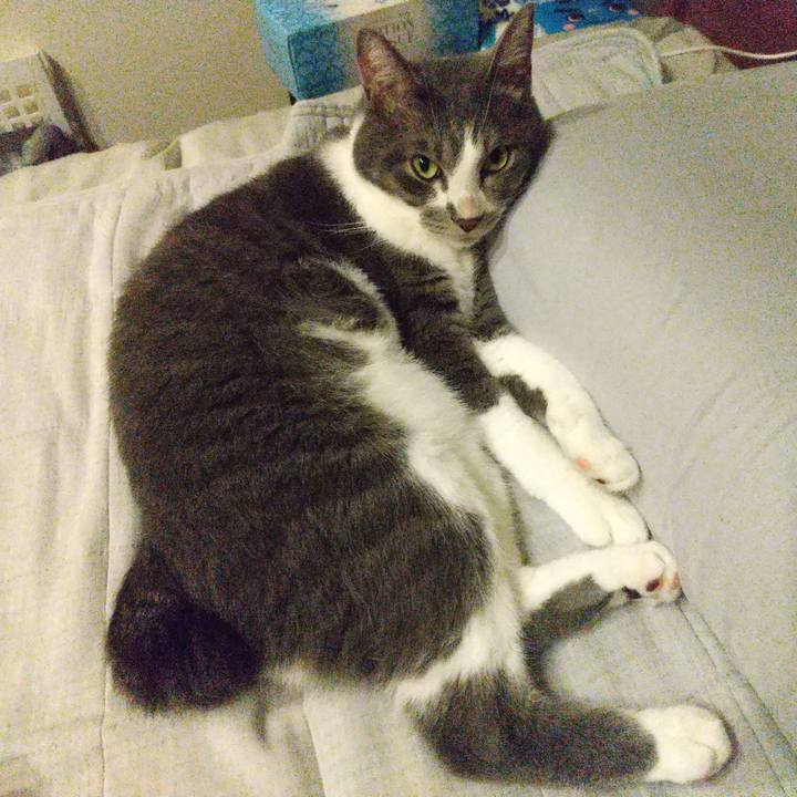 520dec0c 1280 4ec3 87eb 30ecf85f1c76 1630851215319